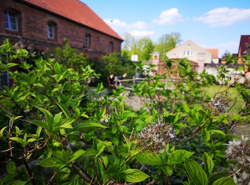 Künstlerhof Roofensee, Ayurveda und Yogaretreat für Frauen mit Brustkrebs